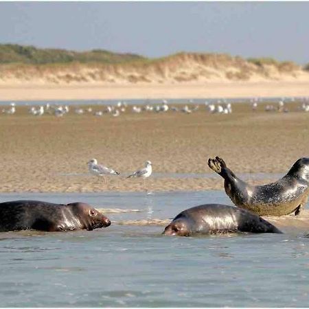 Escapade Berckoise, Berck Plage Bagian luar foto