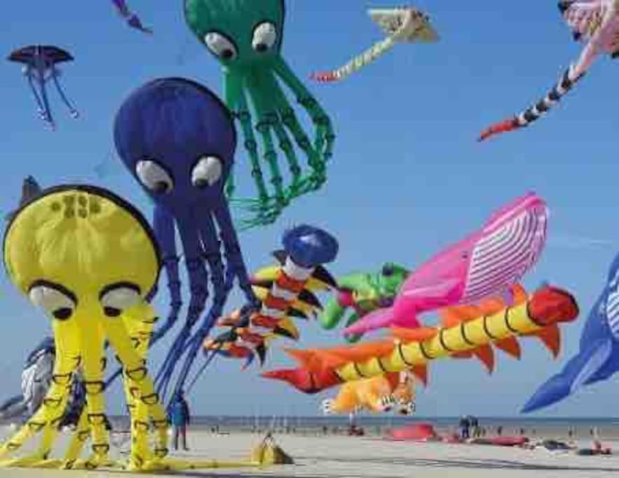 Escapade Berckoise, Berck Plage Bagian luar foto
