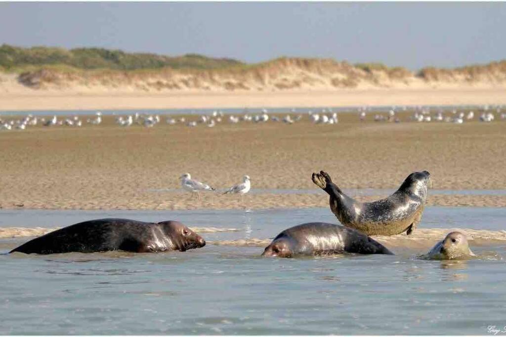 Escapade Berckoise, Berck Plage Bagian luar foto