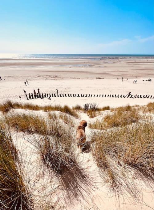 Escapade Berckoise, Berck Plage Bagian luar foto